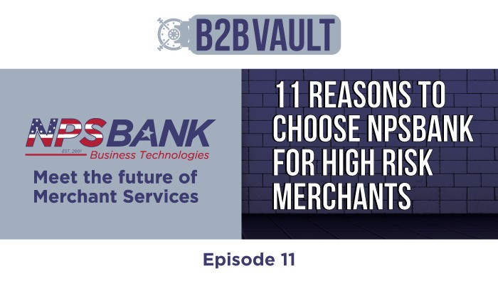 B2B Vault Episode 11: 11 Reasons To Choose NPSBANK