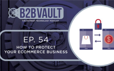 B2B Vault Episode 54: How To Protect Your eCommerce Business