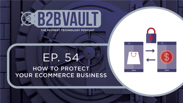 B2B Vault Episode 54: How To Protect Your eCommerce Business
